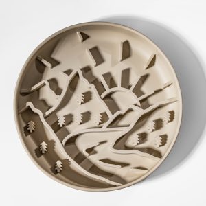 THE HORIZON PLATE