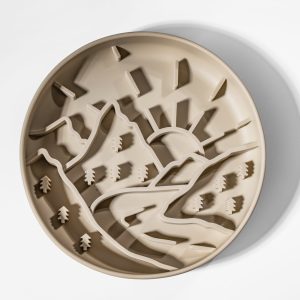 THE HORIZON PLATE