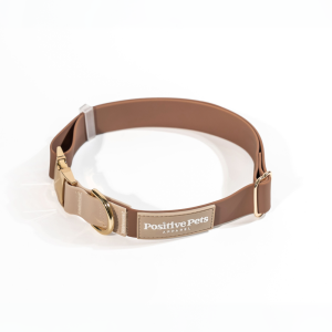 Classic Collar