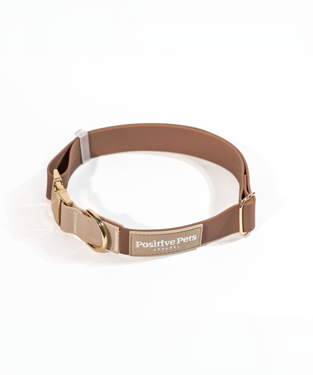 Classic Collar