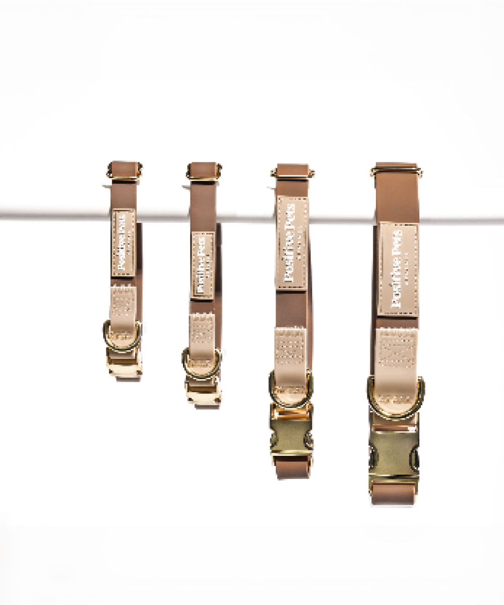 Classic Collar - Image 3