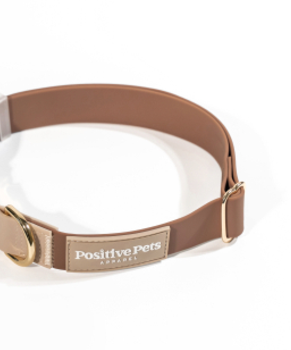 Classic Collar - Image 5