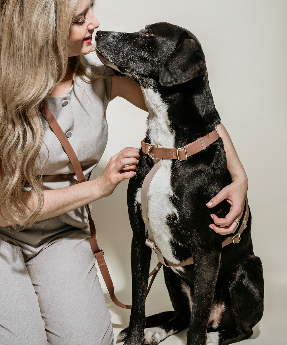 Free Roam Leash - Image 3