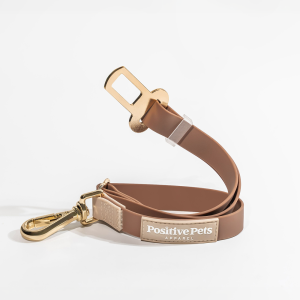 Safe Journey Seatbelt